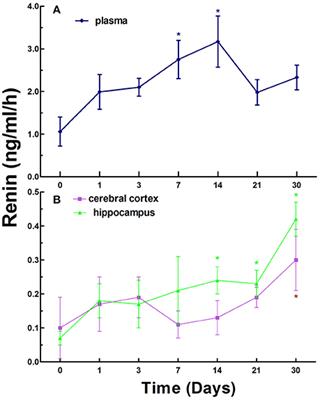 Dynamic Changes in the Renin-Angiotensin-Aldosterone System and the Beneficial Effects of Renin-Angiotensin-Aldosterone Inhibitors on Spatial Learning and Memory in a Rat Model of Chronic Cerebral Ischemia